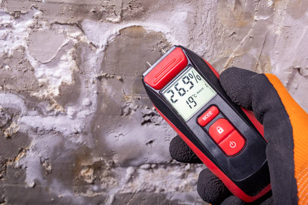 Best Emergency Mold Removal  in Tooele, UT